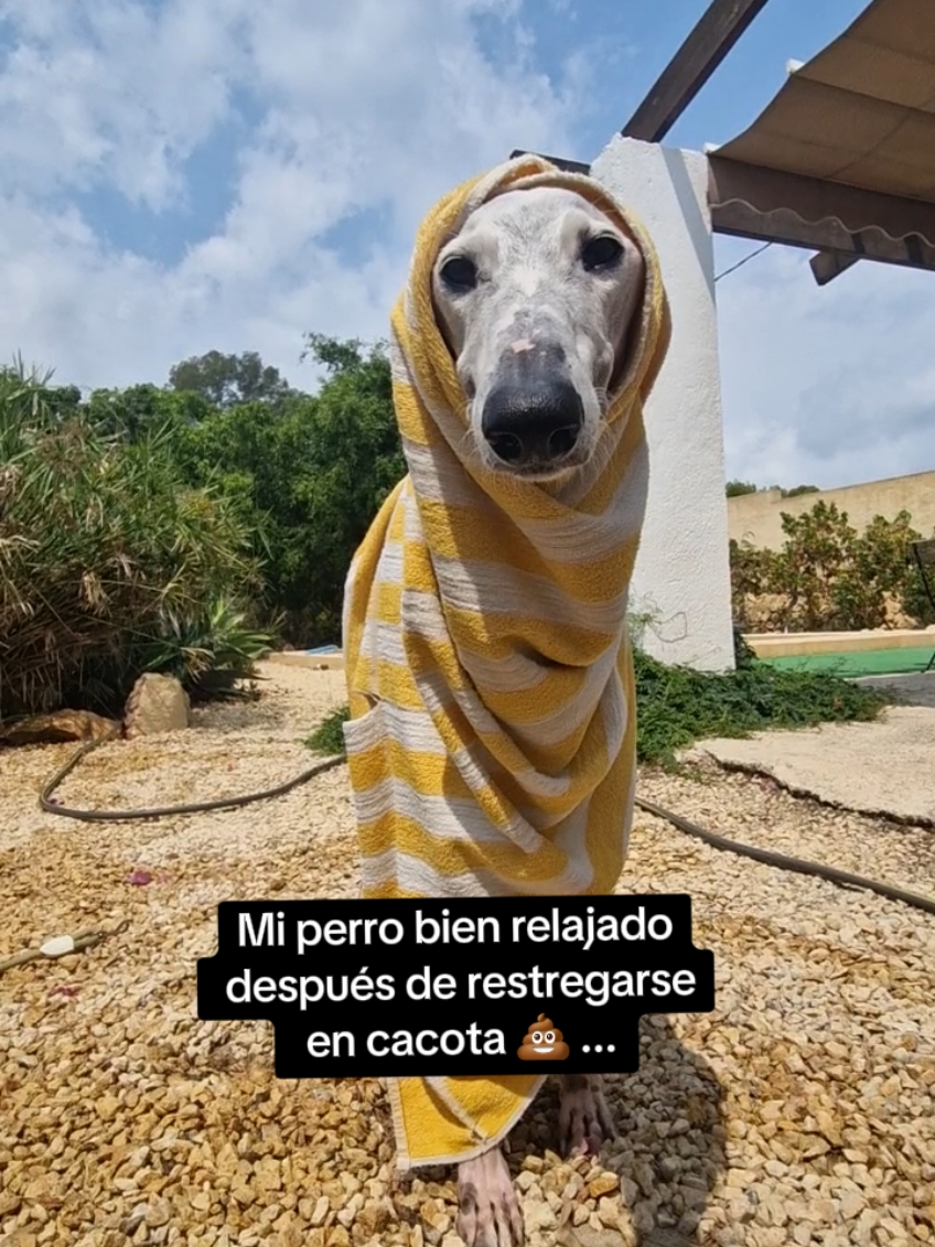 @Maximoypunto
