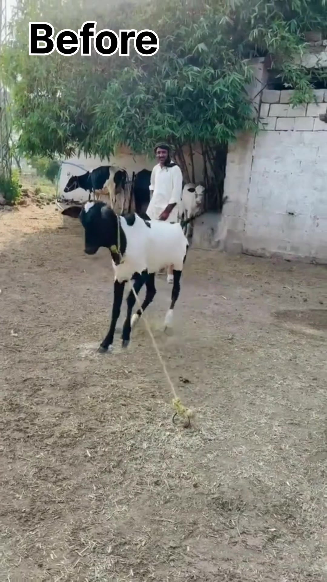 @Saad Rashid