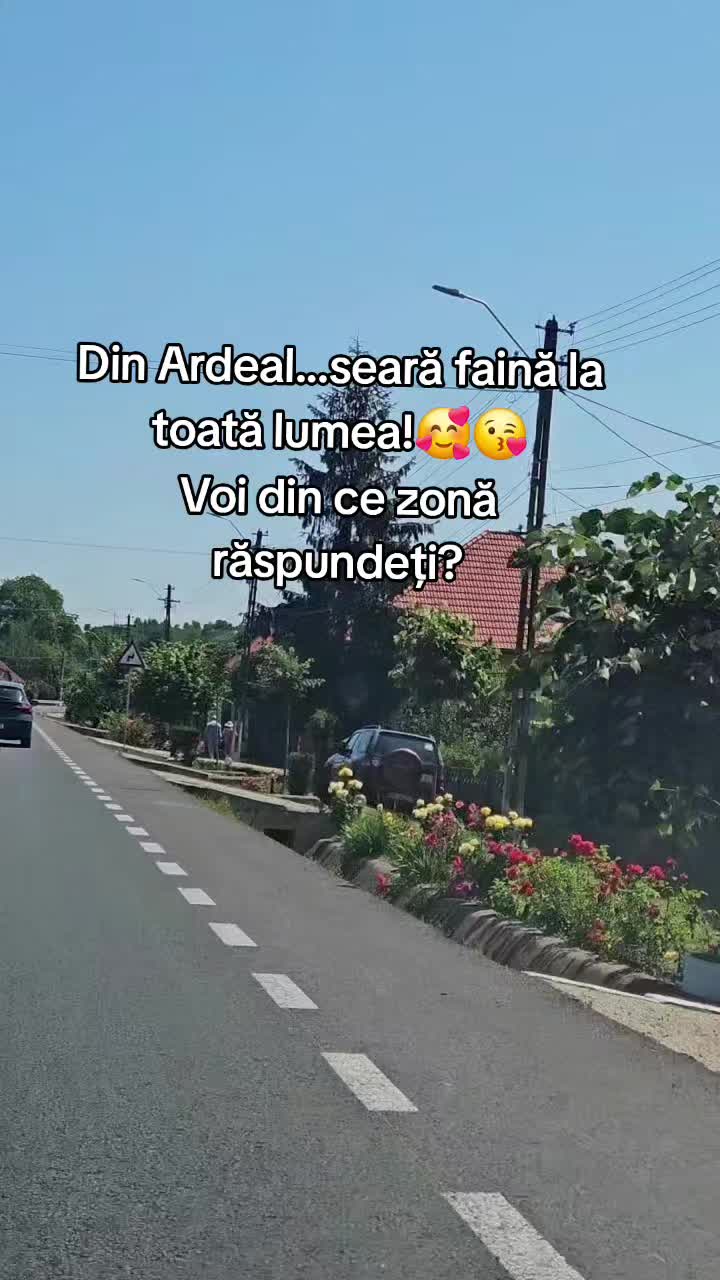@Nița Foitoș