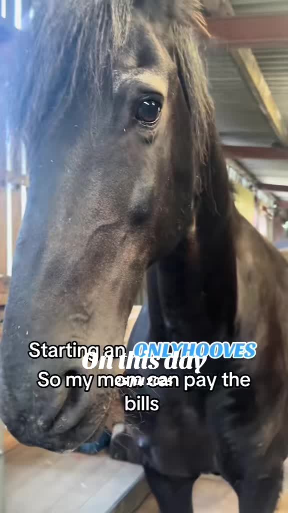 @☽ ✧ 𝓜𝓲𝓬𝓱𝓮𝓵𝓵𝓮 𓃗 ✧ ☽