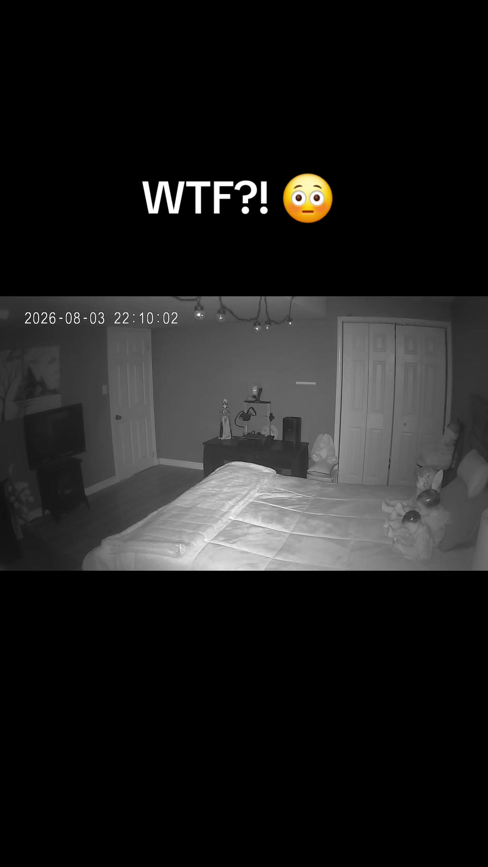 @Kittyk38🇨🇦