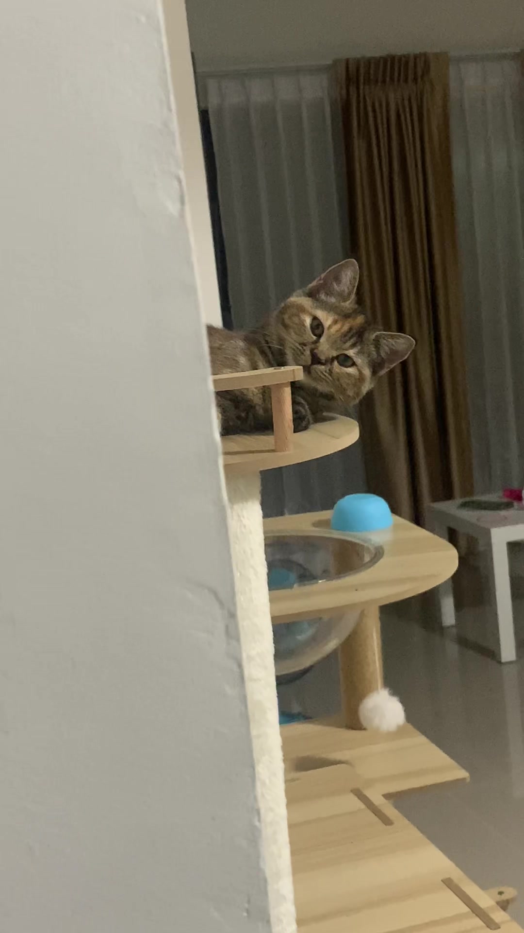 @แดนนี่ วสุพล
