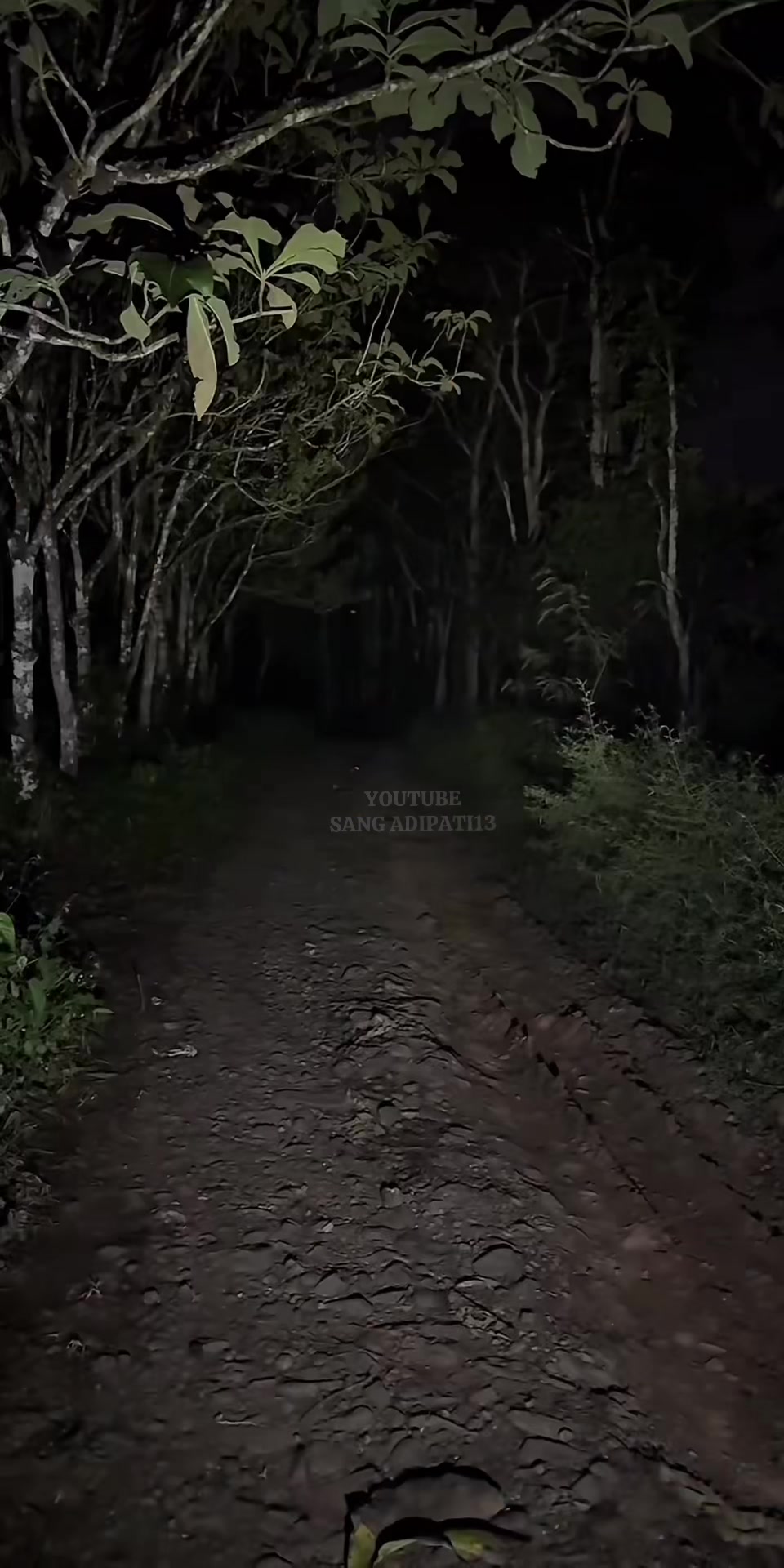 @𝐀𝐃𝐈𝐏𝐀𝐓𝐈 𝐘𝐔𝐑𝐈 &sup1;&sup3;