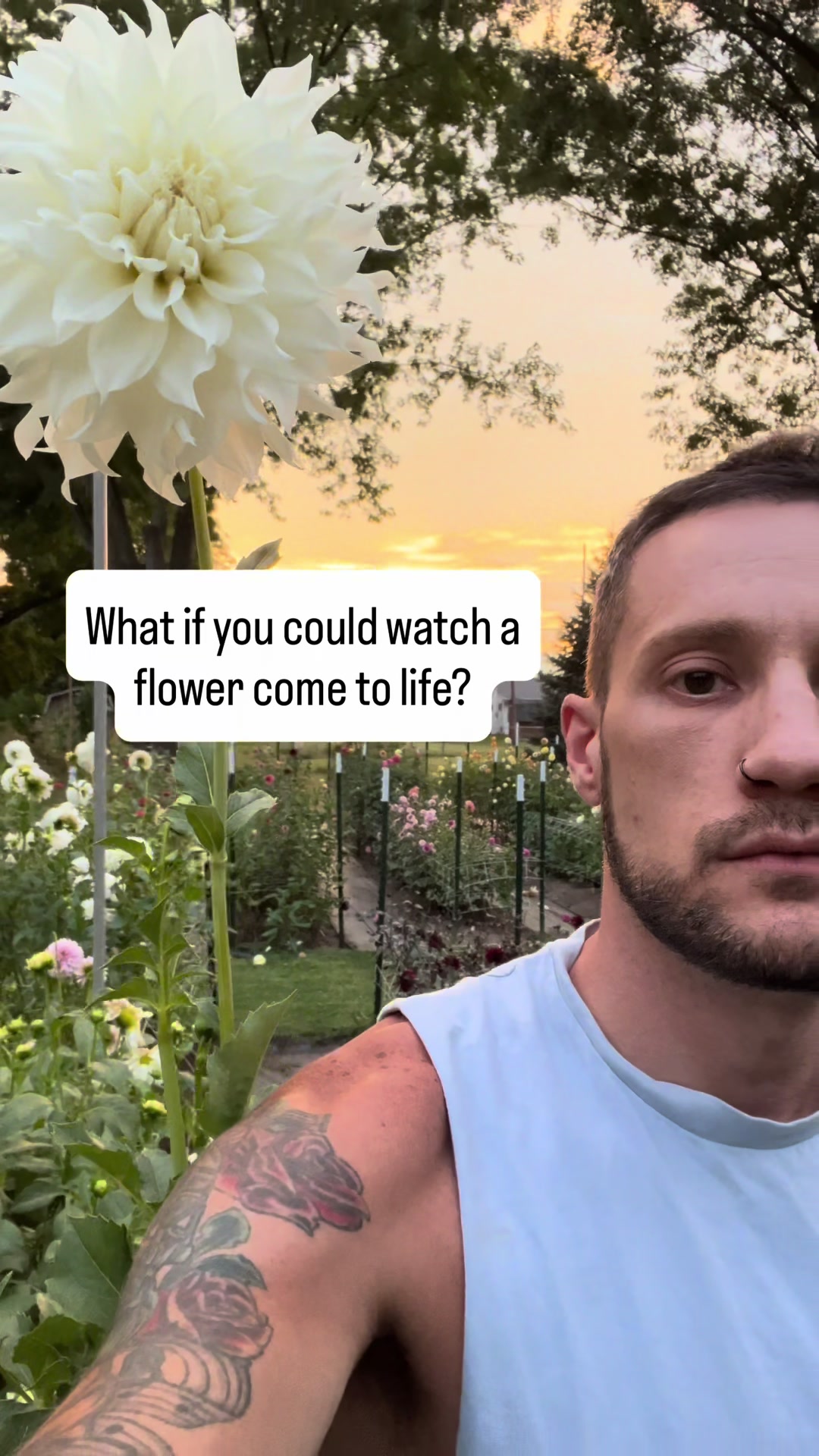 @Christopher | Flower Farmer