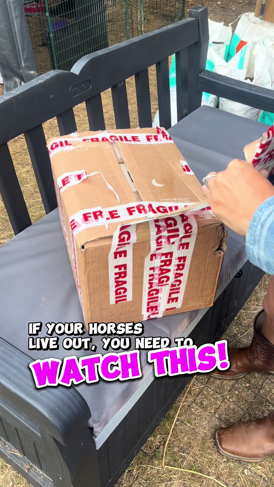 @The Novice Rider