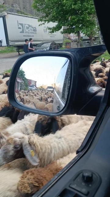 @Yaşar Altun