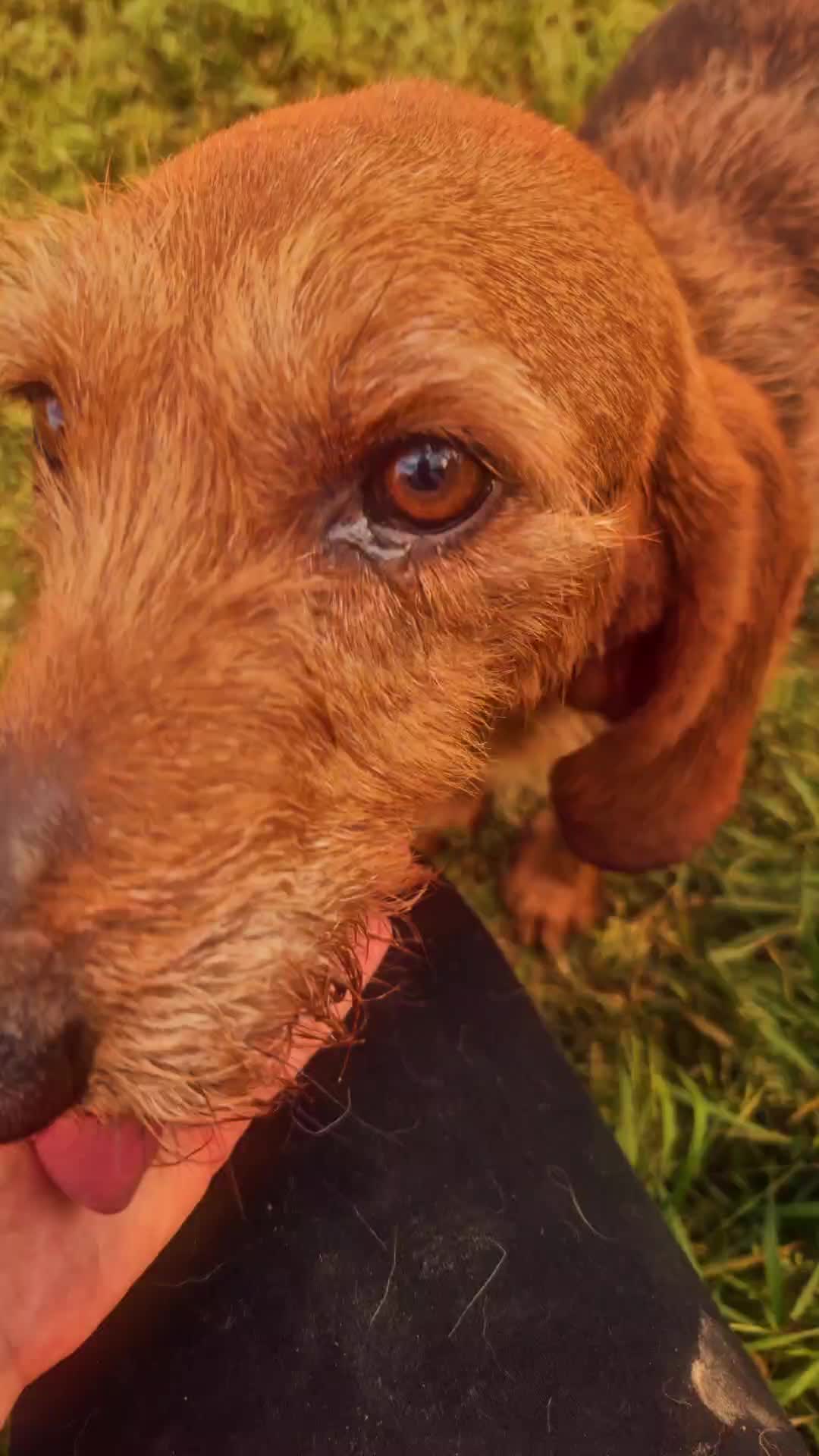 @KikiPetSitter&Photo