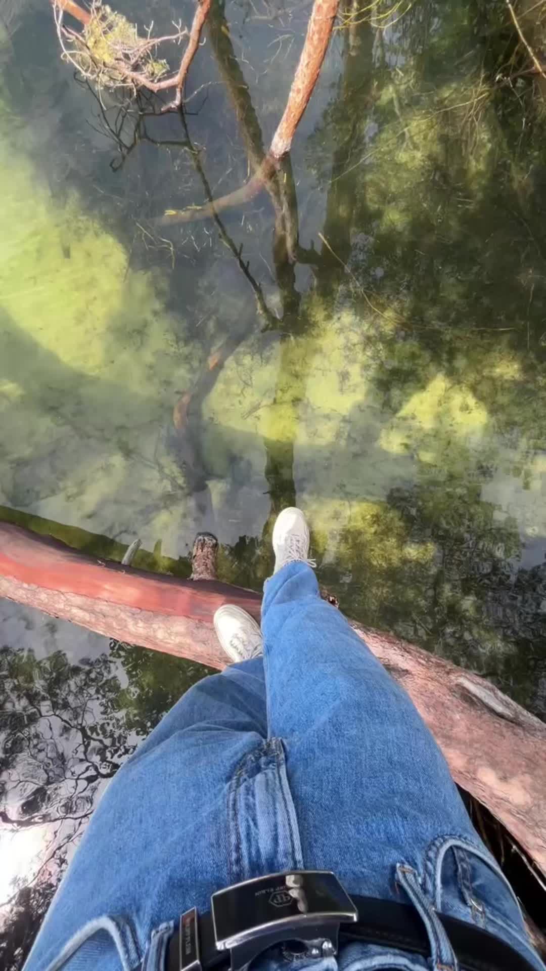 @Brandenburg_Angeln