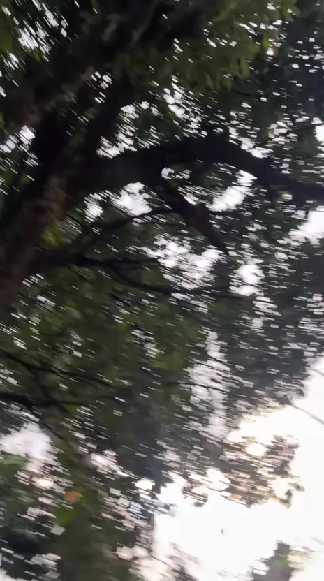 @Surip💦