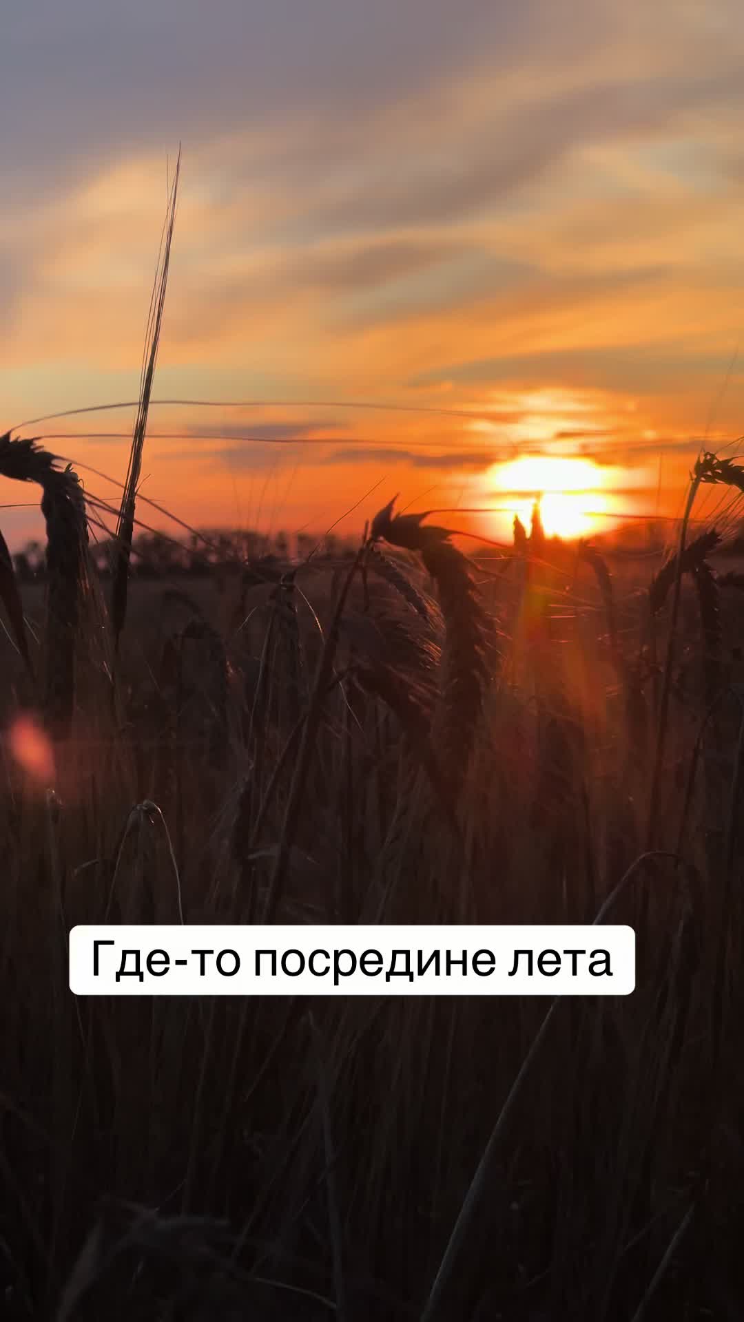 @Asanovich
