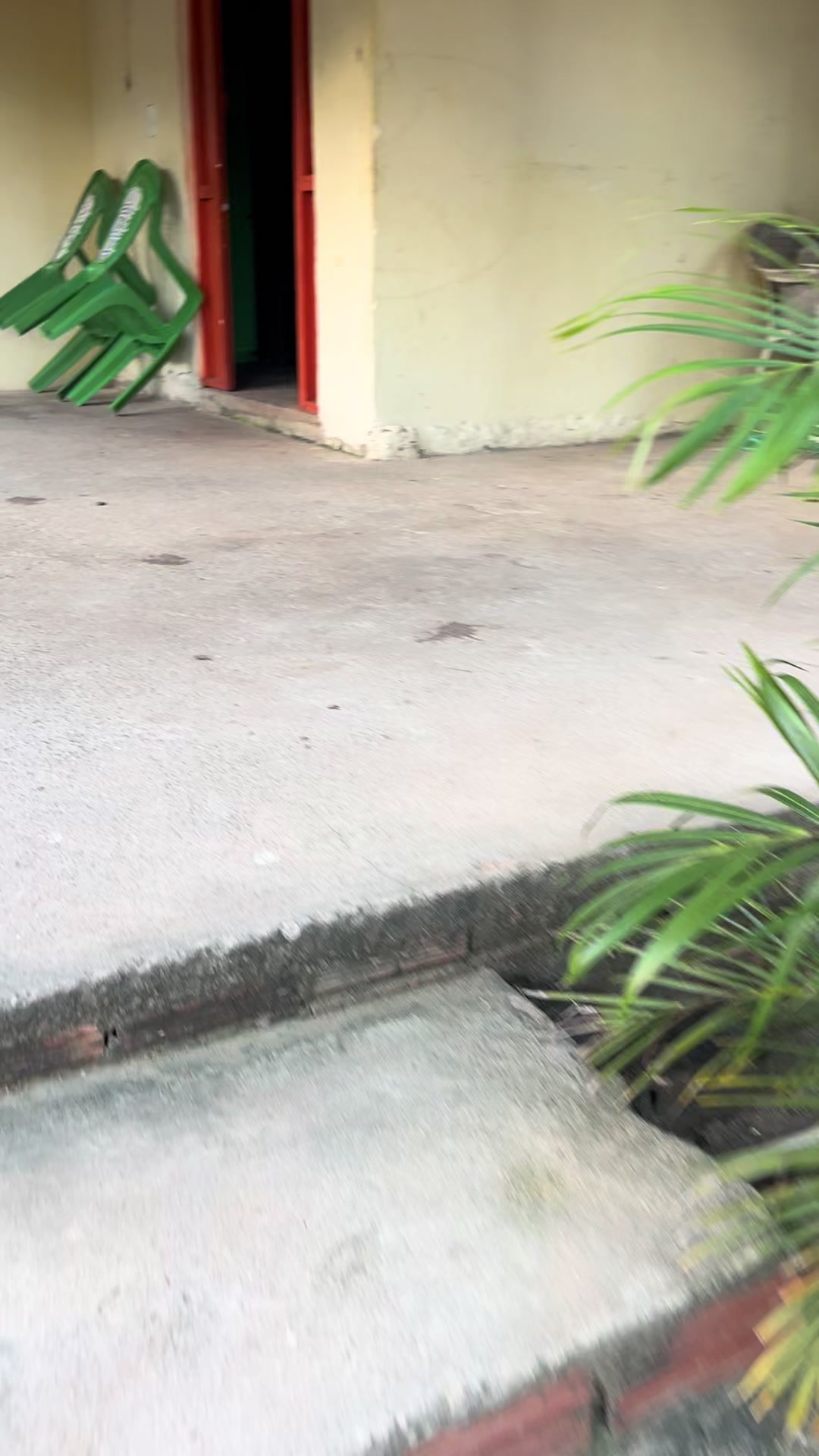 @Ad&atilde;o Oficial