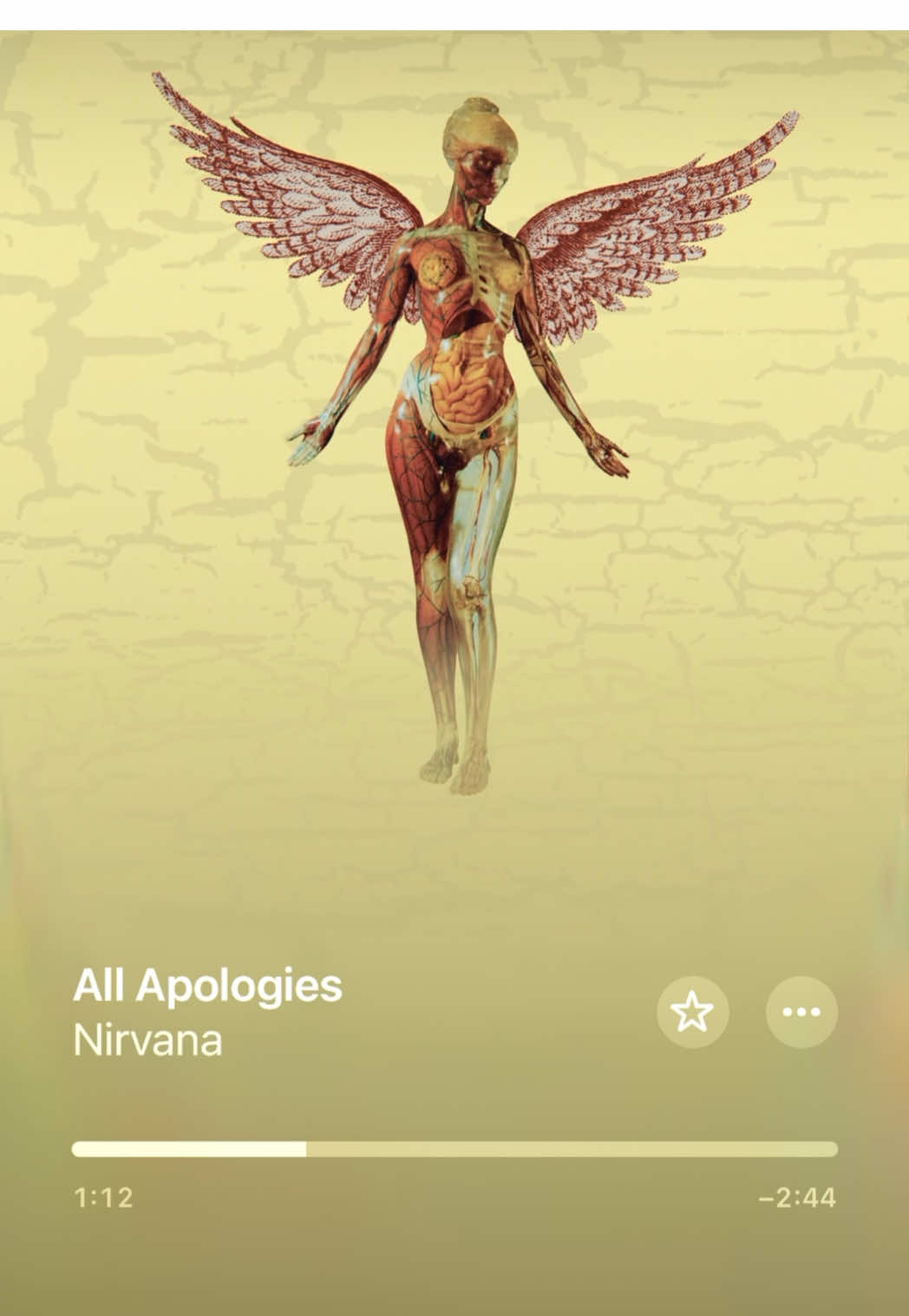 @ilovemusic