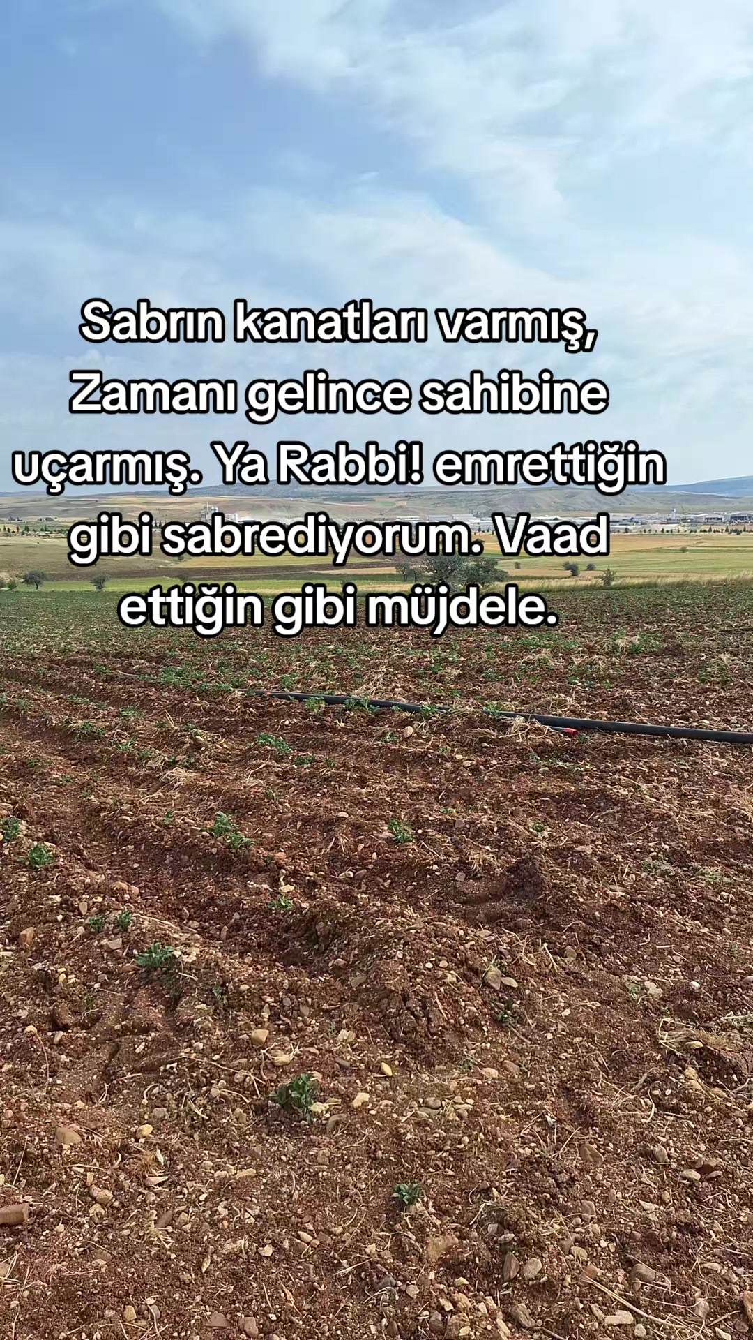 @Bet&uuml;l Halil sağ