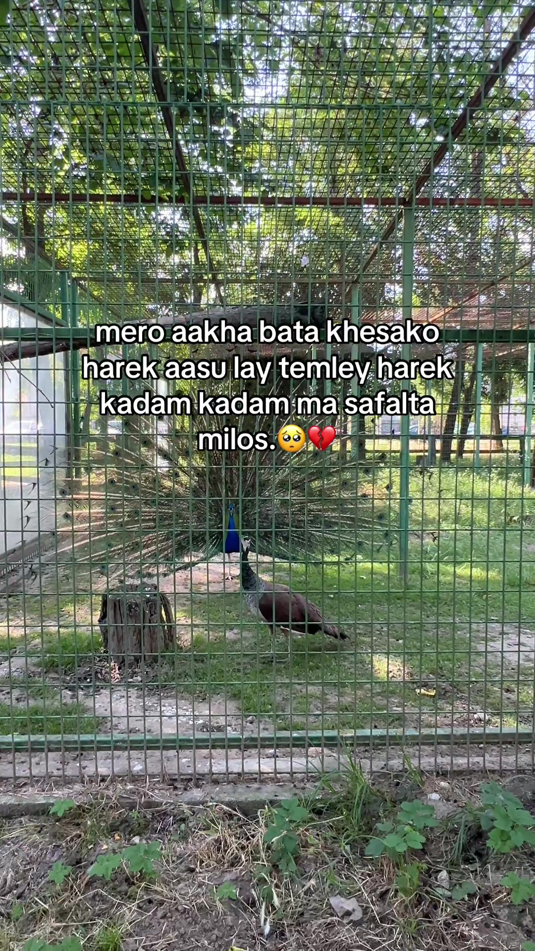 @aryan Rz 🫧