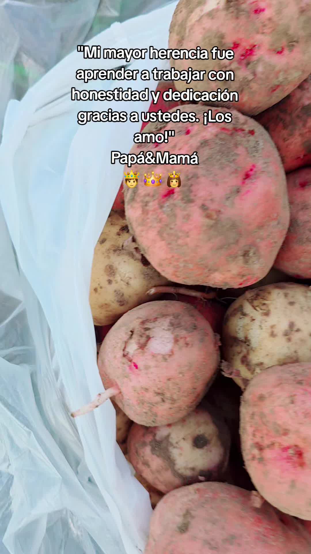 @𝙇𝙪𝙞𝙞502👨🌾