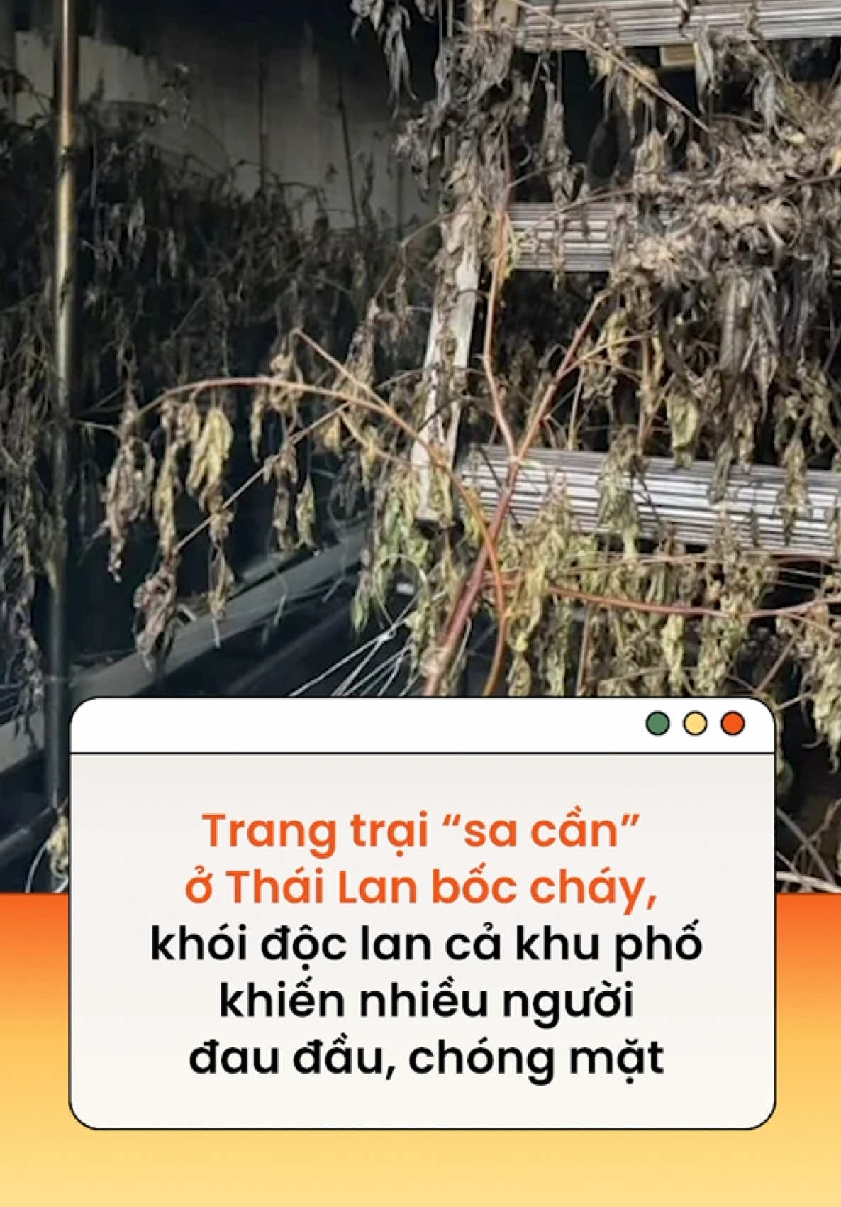 @Kenh14.vn