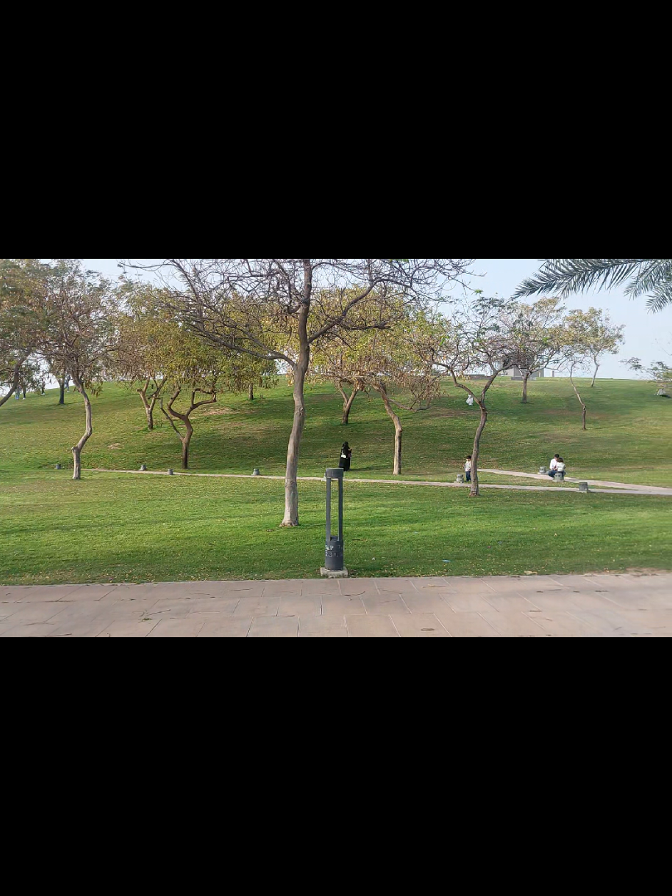 @MD.ASHAD MRIDHA