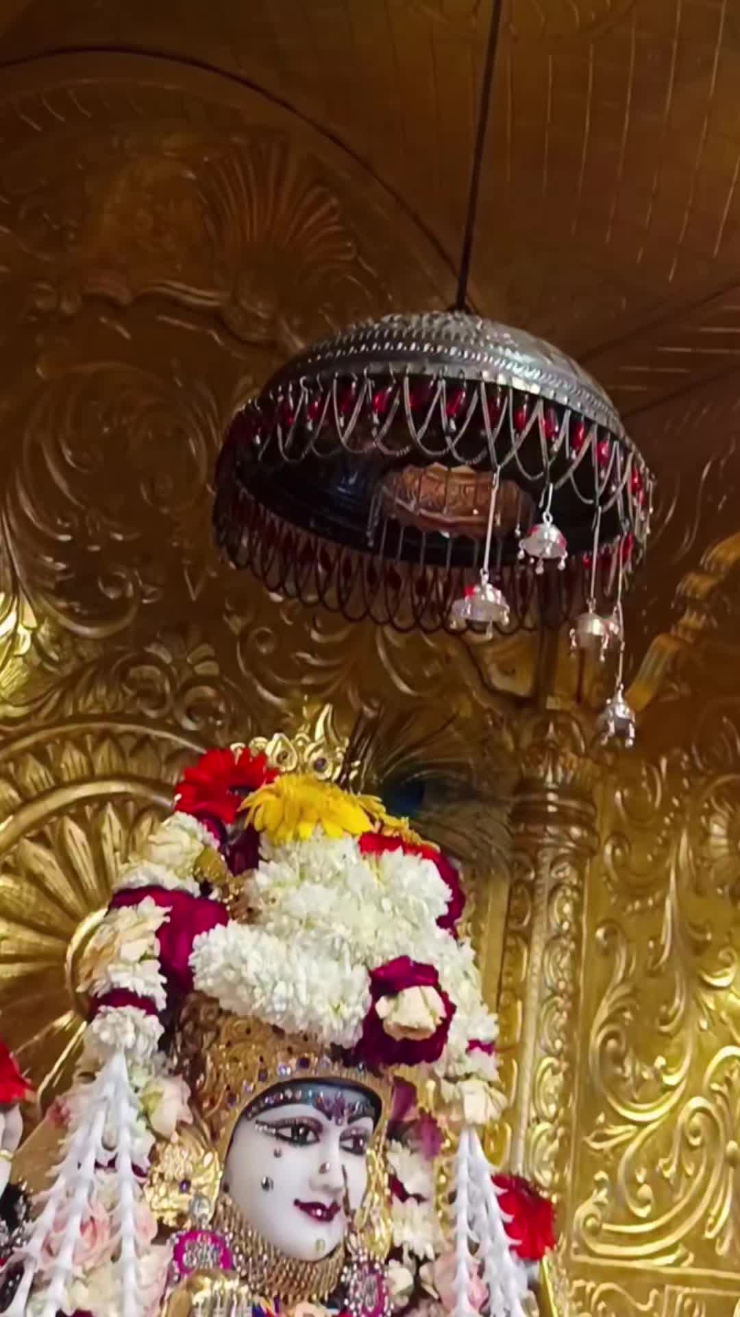@JAY MELDI MAA🕉🙏🙏