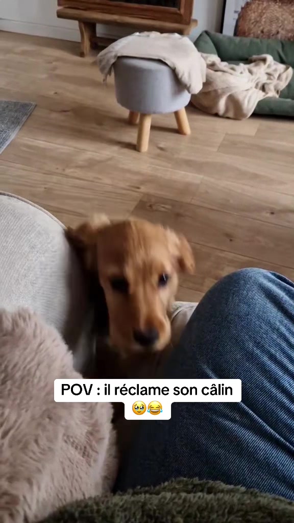 @coeur.de.cocker