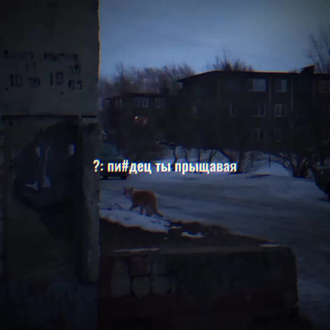 @𝙡𝙤𝙢𝙞𝙧𝙖