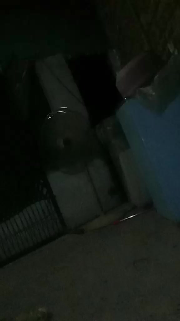 @Butt G