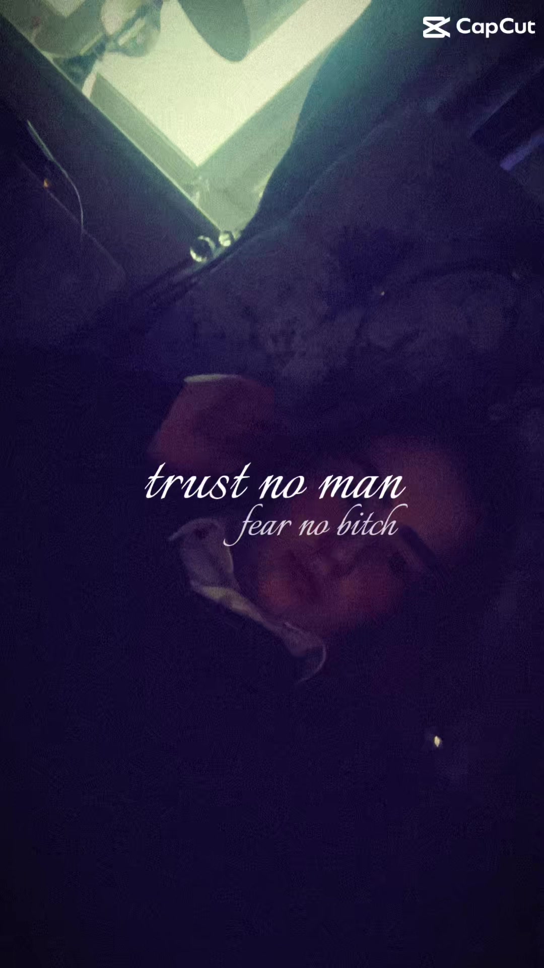 @Alysiaplant❤️