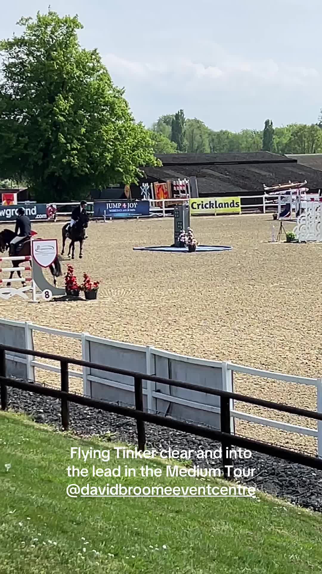 @markedwardsshowjumping