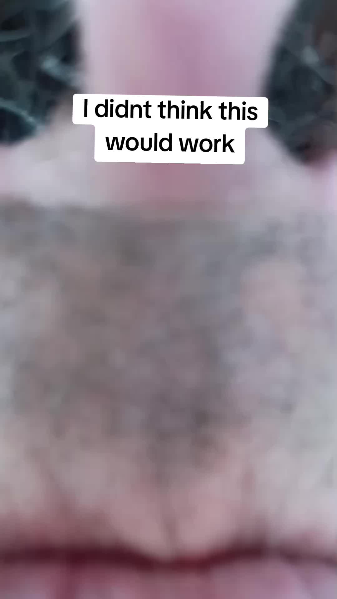 @jdzaffiliate