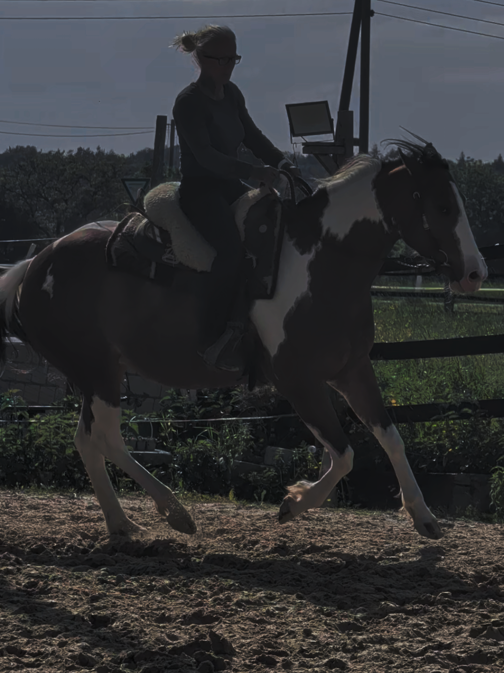 @~ Pearl Hart Ranch ~