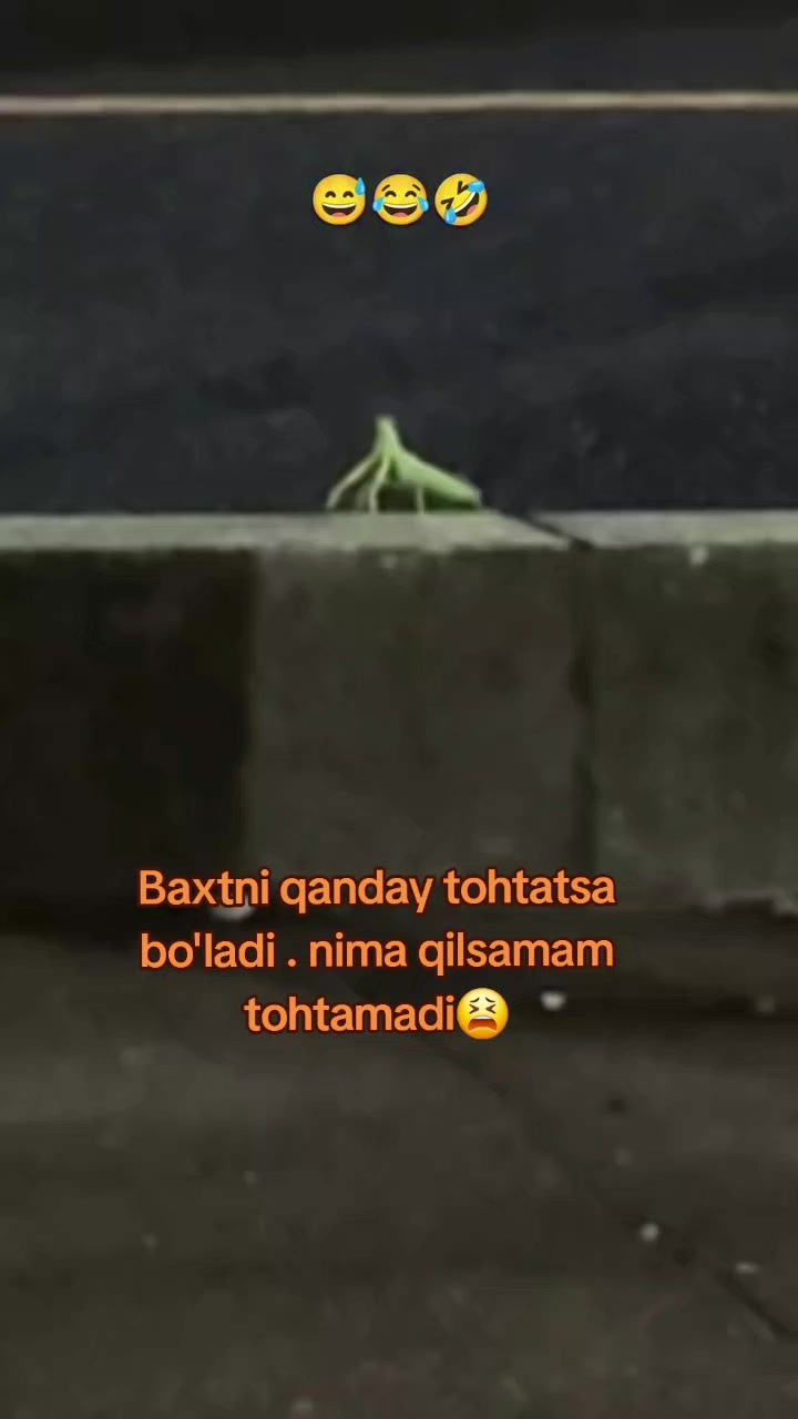@Kulochok Oyi