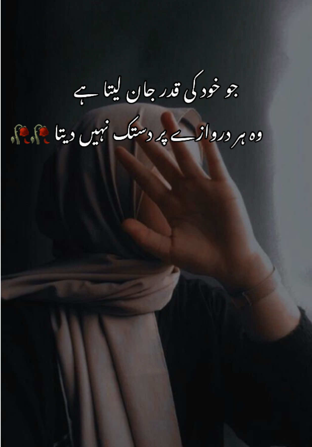 @Noor