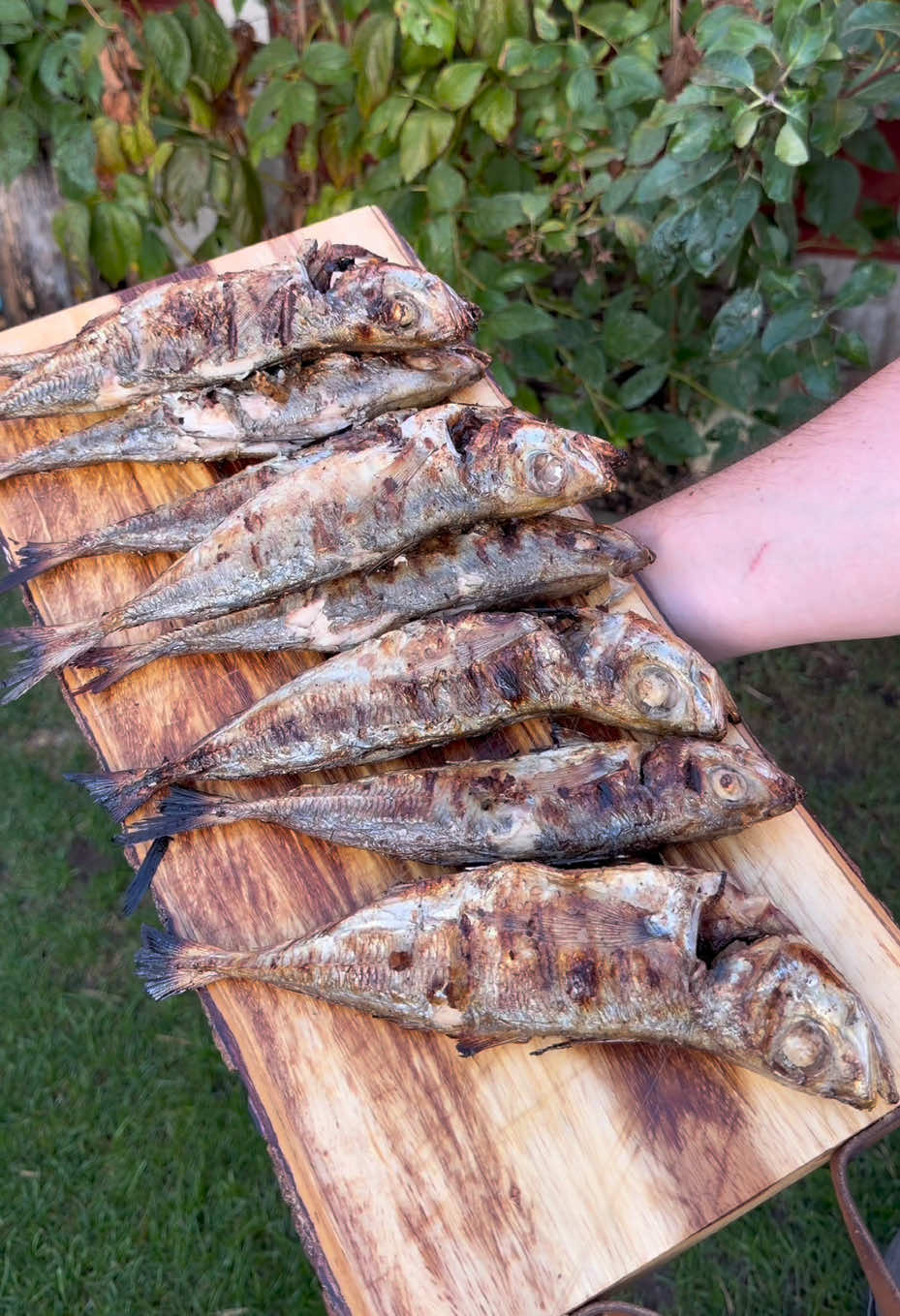 @Cristin Botnari - EstBBQ🔥