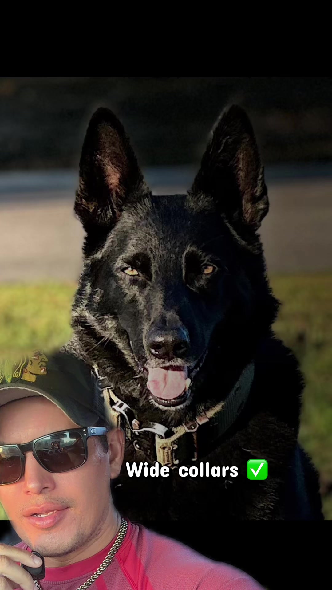 @🪶TheN8tiveDogfather🐾