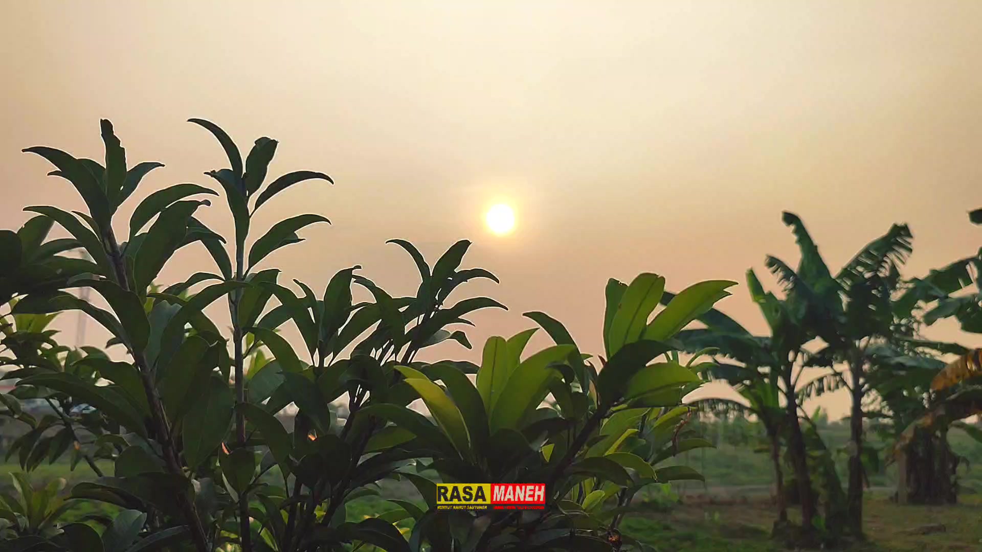 @Kang Amay