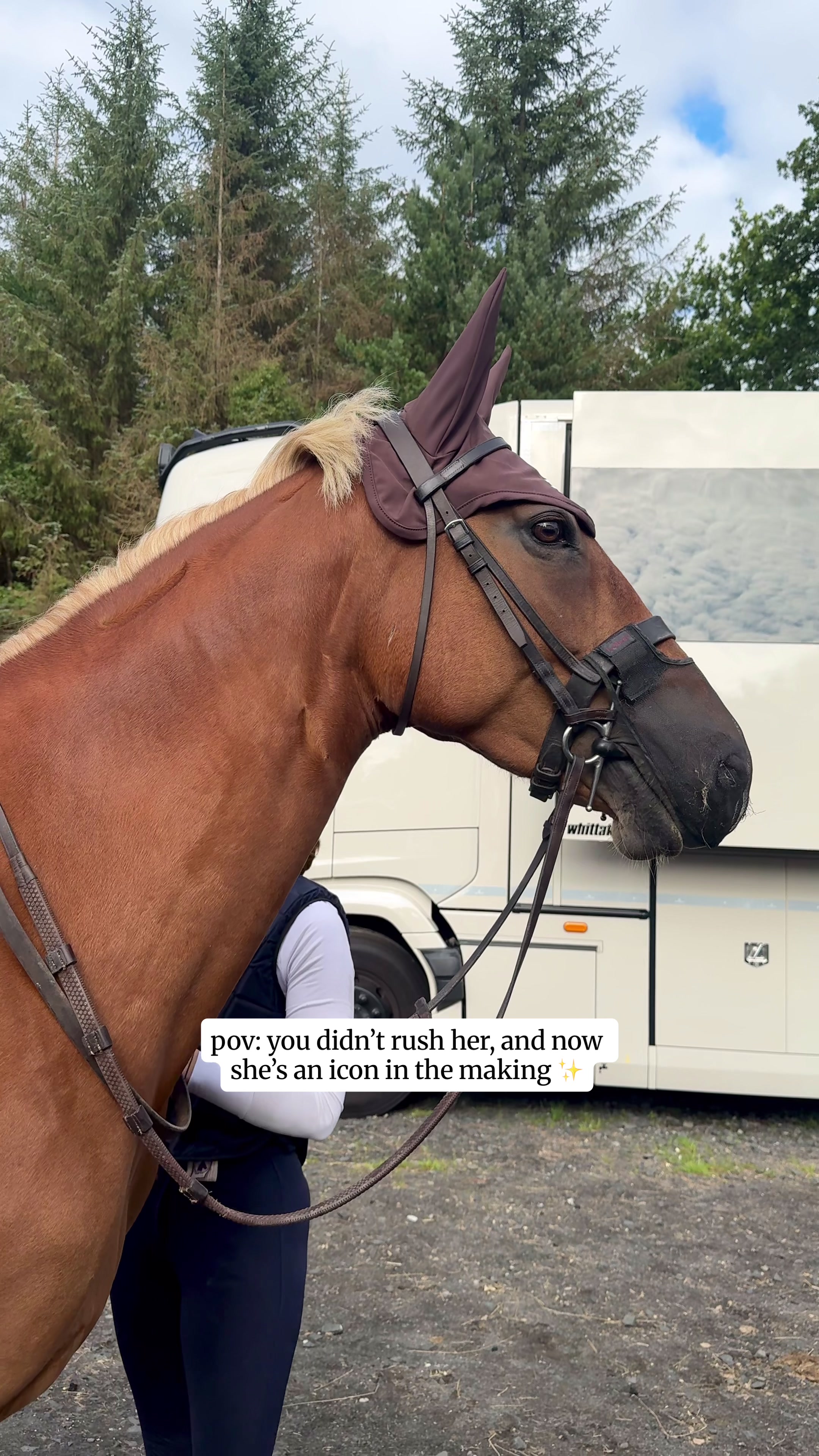 @Yardd | Equine Life Simplified