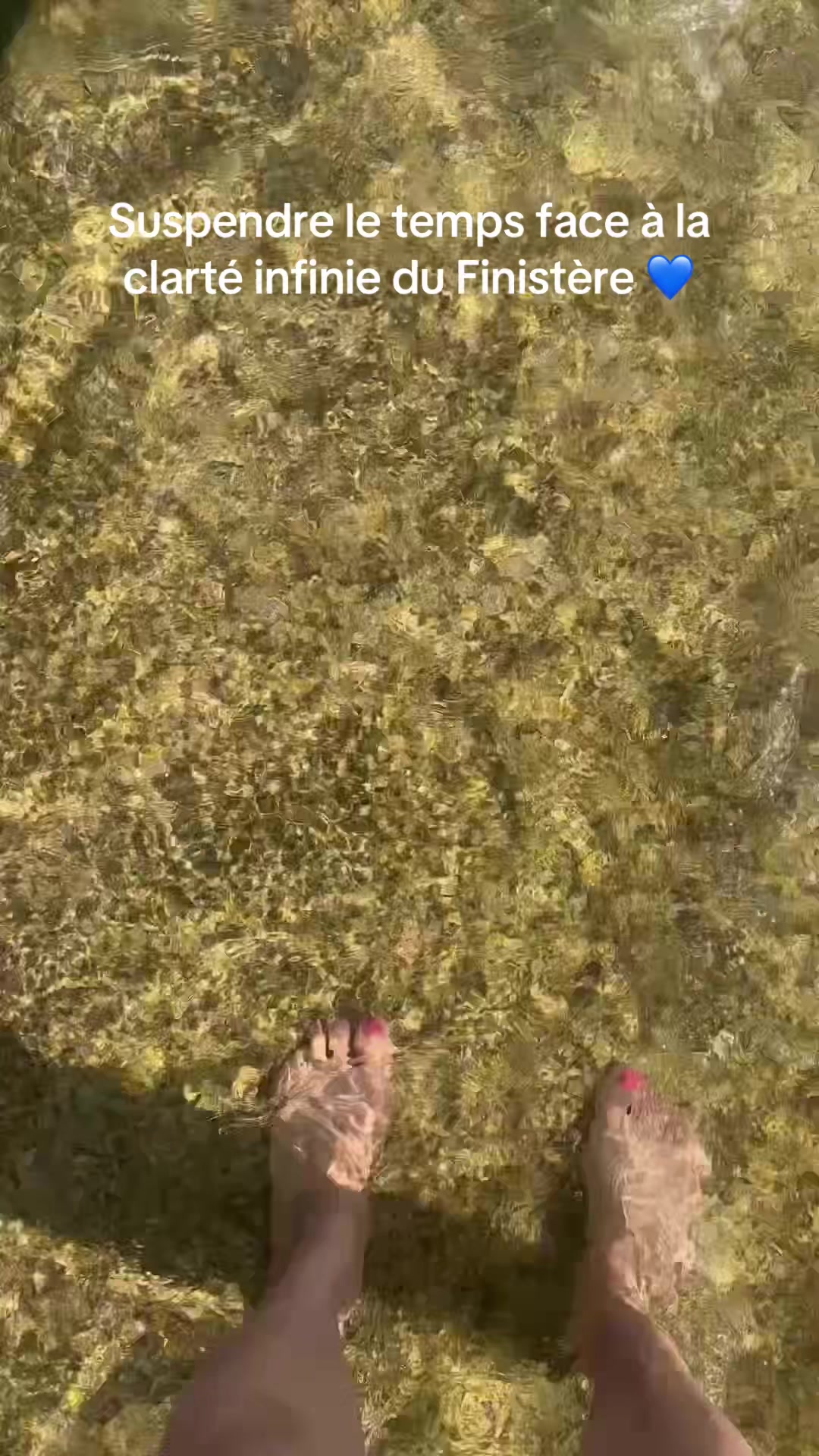 @agelessbeauty1966