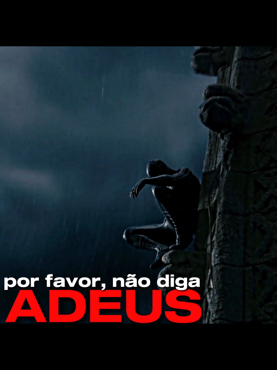 @marselo