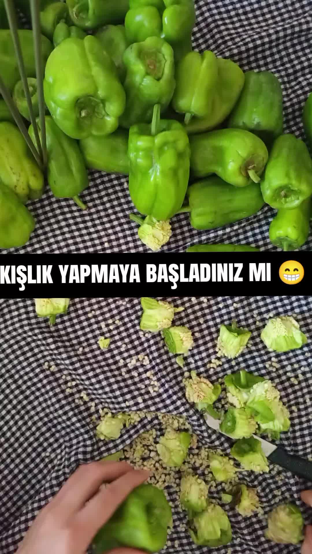 @Melike DERTLİ