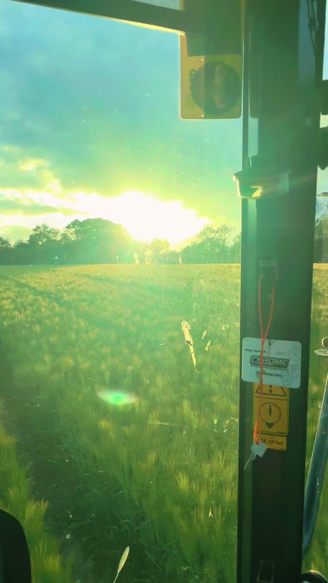@Let’s farm Ireland