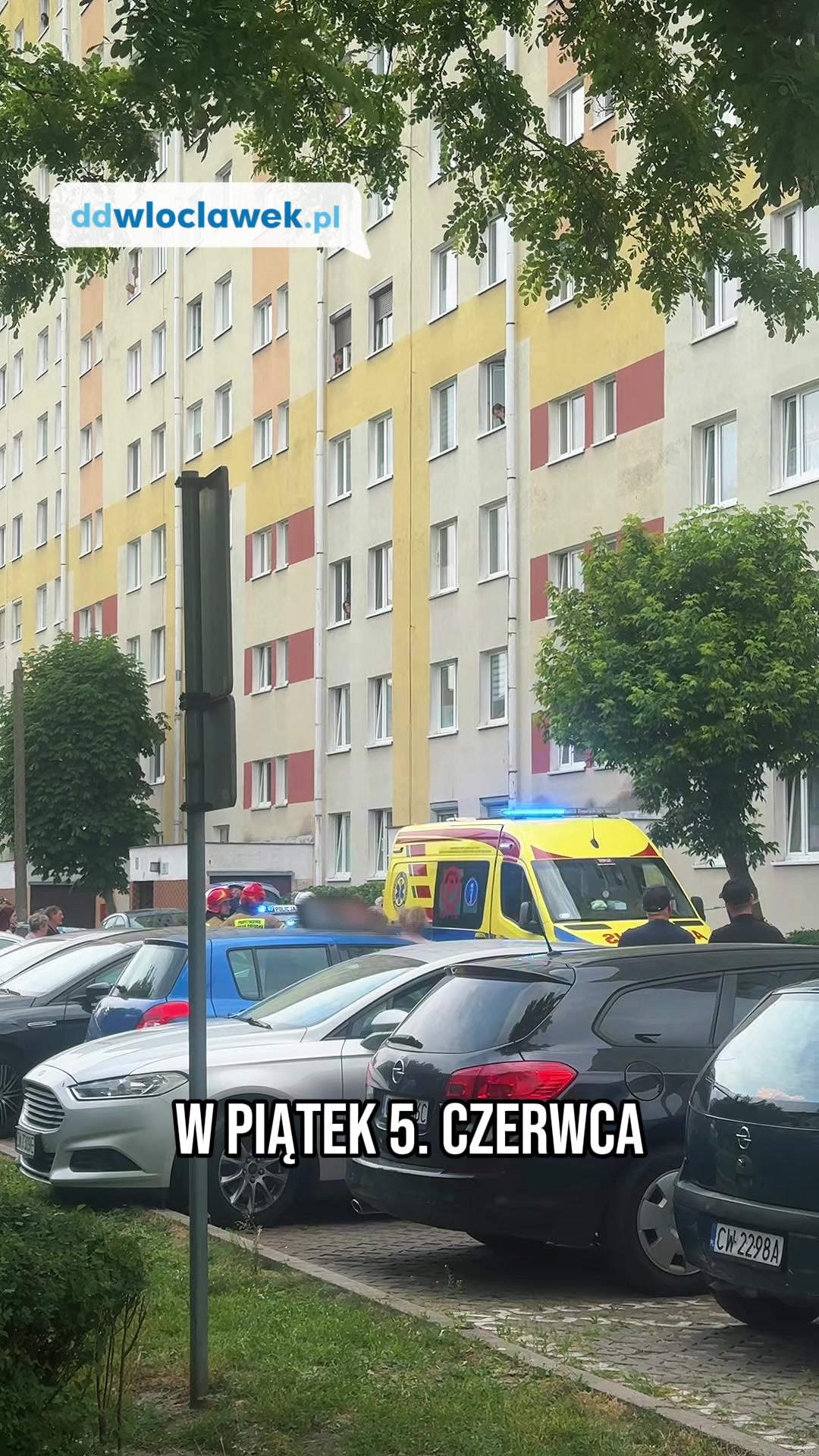 @Dzień Dobry Włocławek
