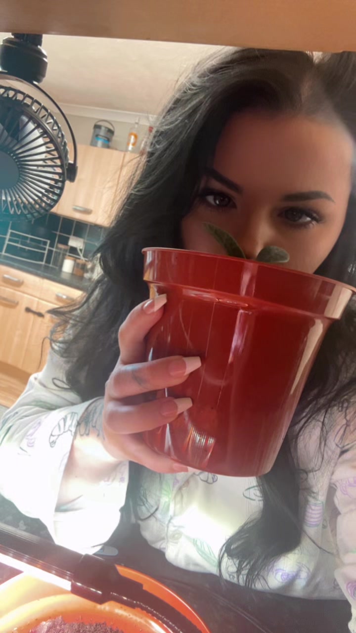 @Ellie-jo Webb