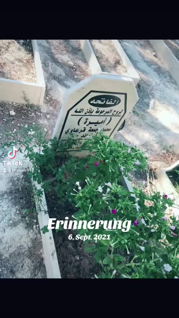 @🇩🇪Adam🇵🇸