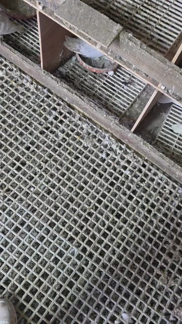 @Mehmet cakti 02