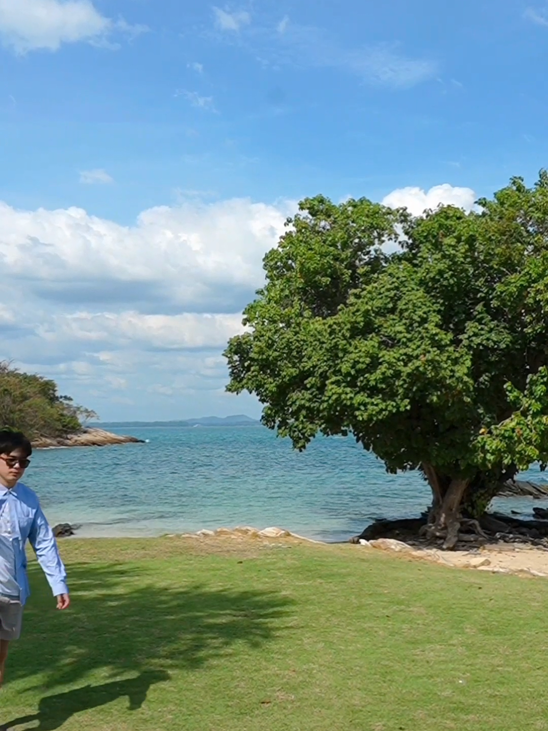 @น้องนิวมีชิวาว้าชื่อคิวซี