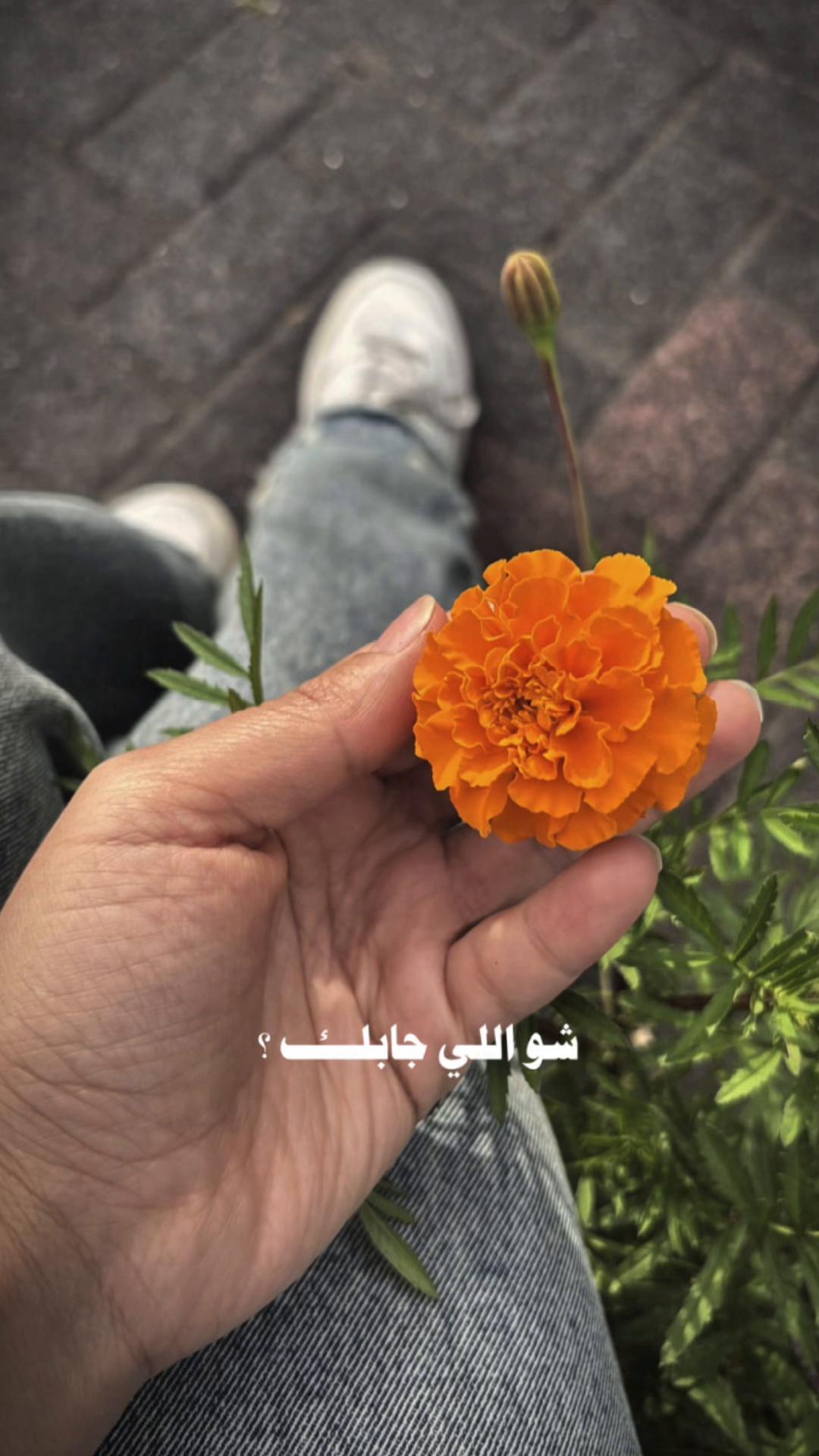 @ɴᴇʀᴠɪɴ|🫀