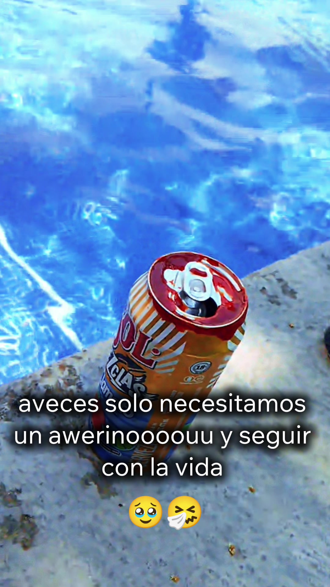 @puchis