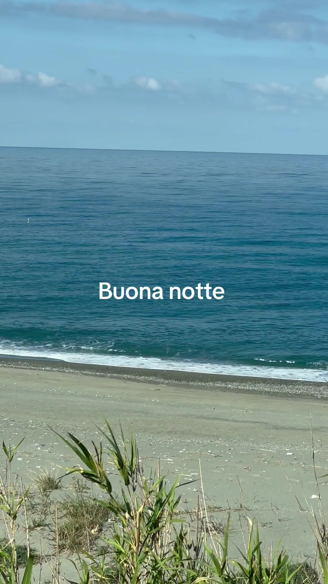 @Paolo Cambareri 275