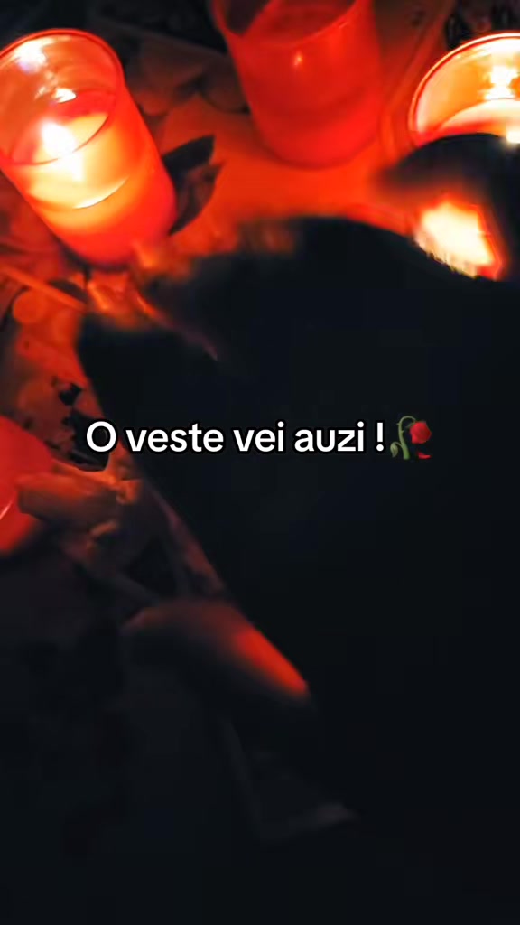 @🥀Tamaduitoarea Denysa 🔮