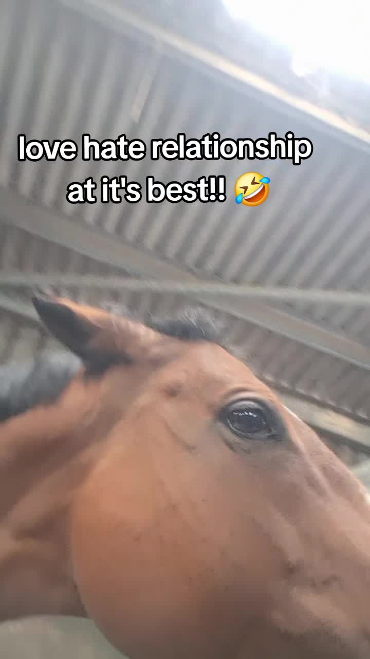 @Life with Suni D 🐴