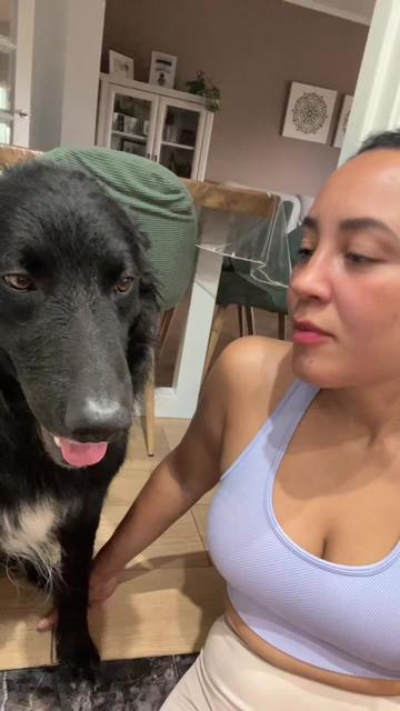 @Luiggi the Dog